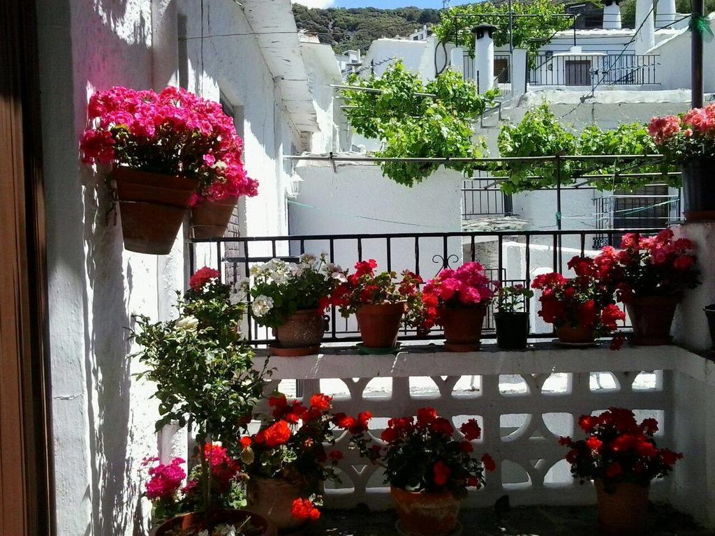 布比翁Casa El Porton别墅 外观 照片